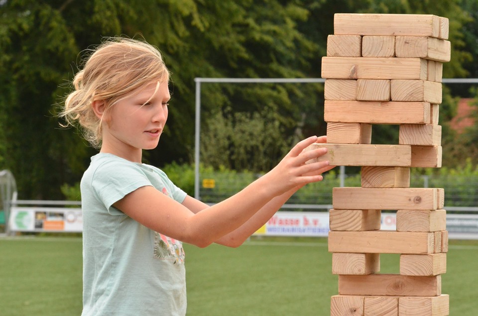 mega jenga familiedag huren te huur drenthe